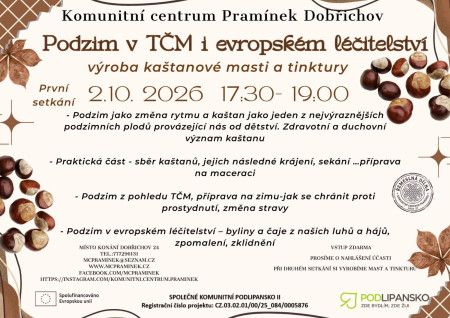 Výroba kaštanové masky a tinktury